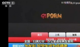 91直播视频秦先生,秦先生精彩瞬间回顾