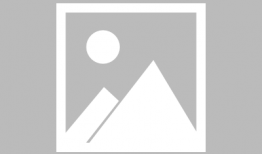 米奇视频,欢乐时光的精彩回顾